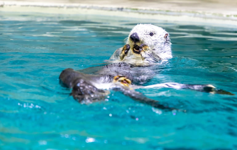 水族館